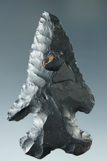 2 3/8" Archaic Thebes Deep Notch Bevel made from jet black Coshocton Flint found in Ohio.