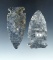 Pair of Coshocton Flint Sidenotch Points found in Mercer Co., Ohio, largest is 2 7/8