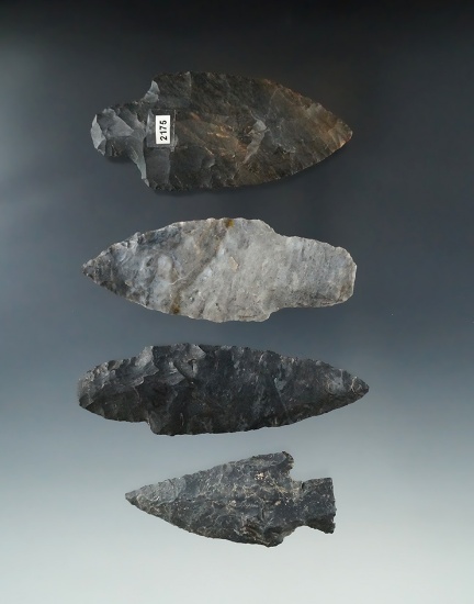 Set of 4 Coshocton Flint Arrowheads found in Ohio, largest is a 3 3/8" Adena in nice condition.