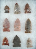 Set of 9 Archaic Sidenotch Points found in Ohio, largest is 2 1/4