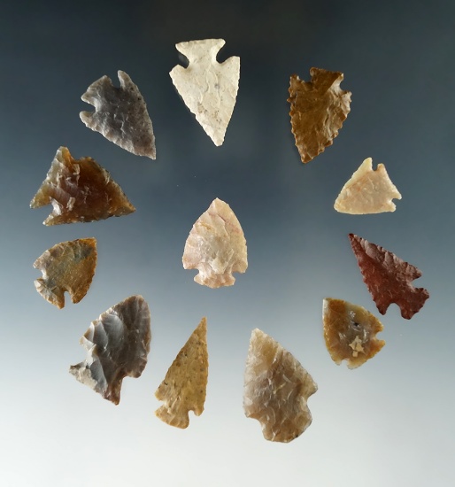 Set of 12 Colorado arrowheads in the largest is 1 1/8".