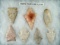 Set of seven assorted Midwestern arrowheads, largest is 2 3/4