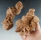 Pair of Gypsum Desert Sand Roses, largest is 4 1/2