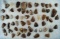 Large group of mostly Knife River Flint Scrapers found in the Dakotas. Largest is 1 11/16