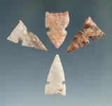Set of four Sidenotch Bird points found in Texas, largest is 7/8