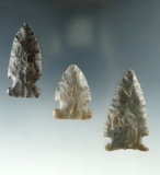 Set of three assorted Ohio arrowheads, largest is 2 1/4