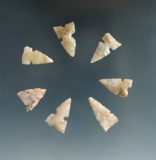 Set of seven sidenotch arrowheads found near the Washita River in Oklahoma, largest is 3/4