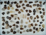 Large assortment of Knife River Flint artifacts including points and scrapers and bone, Dakotas.