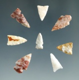 Set of eight assorted small bird points found in southern Colorado, largest is 11/16