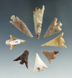 Set of eight assorted Columbia River arrowheads, largest is 1 7/16