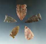 Set of five arrowheads found in Kansas, largest is 1 5/8