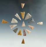 Set of 16 Plains Triangular arrowheads, largest is 1