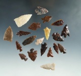 Set of 20 assorted arrowheads found in Nevada, largest is 1 5/16