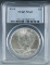 1924 Peace Silver Dollar Certified MS 62 by PCGS