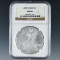 2005 American Silver Eagle Certified MS 69 by NGC