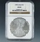 1995 American Silver Eagle Certified MS 69 by NGC