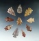 Set of 10 assorted Columbia River arrowheads, largest is 1 7/8