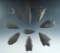 Set of 9 arrowheads that are nicely crafted from Basalt, largest is 2 1/8