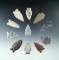 Group of 11 Assorted Arrowheads found in North Dakota, largest is 1 7/8