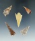 Set of 5 nice Columbia River Gempoints and Arrowheads found by Norma Berg, Washington.