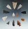 Set of 12 Assorted Arrowheads found in various locations, largest is 1 7/16