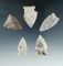 Set of 5 Assorted arrowheads found in the Dakotas, largest is 1 7/16