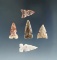 Set of 5 Texas arrowheads, largest is 15/16