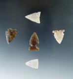 Set of 5 Arrowheads found in South Dakota, largest is 1