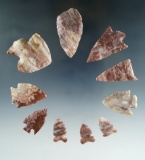 Set of 10 Assorted Alibates Flint Arrowheads found in Colorado and Kansas, largest is 1 1/2