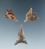 Set of three Columbia River arrowheads including a unique Savies Island that is 1