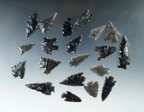 Set of 20 assorted obsidian arrowheads found in Nevada. largest is 1 5/8