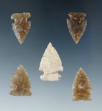 Set of 5 North Dakota arrowheads, largest is 1 1/8