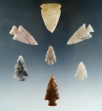Set of 7 assorted arrowheads found in Weld Co., Colorado. Largest is 1 1/4