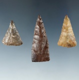 Set of three triangular arrowheads found near the Columbia River, largest is 1 3/4