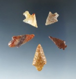 Set of five Columbia River Gempoints, largest is 1 3/16