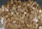 500 Assorted Lincoln Wheat Cents