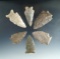 Set of six assorted Kentucky arrowheads, largest is 2 7/16