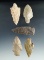 Set of five assorted Kentucky arrowheads, largest is 2 11/16