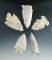 Set of five assorted Missouri arrowheads, largest is 2 5/8