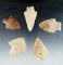 Set of 5 Georgia arrowheads, largest is 2 3/4