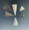 Set of six assorted Midwestern medicine Triangle points, largest is 1 1/4