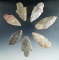Set of seven Adena points found in Kentucky, largest is 2 3/4