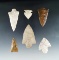 Set of 6 Florida arrowheads, largest is 2 3/4