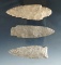Set of three flint knives found in Kentucky, one is lacquer coded. Largest is 3 1/4