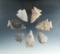 Set of seven assorted Kentucky arrowheads, largest is 2 1/16