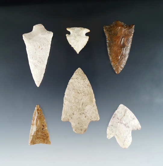 Set of 6 Florida arrowheads, largest is 2 3/4".