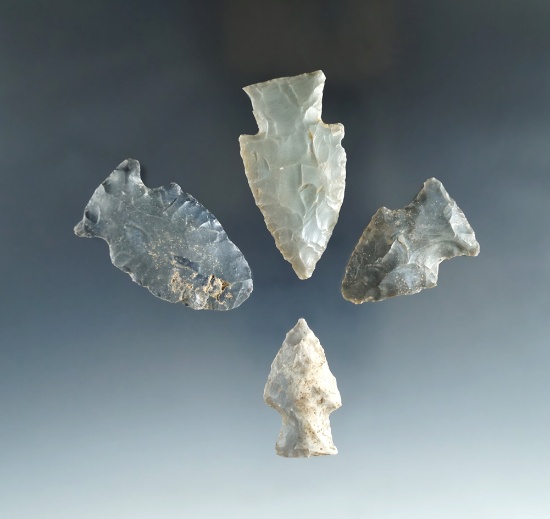 Set of four projectile points found in Kentucky, largest is 2".
