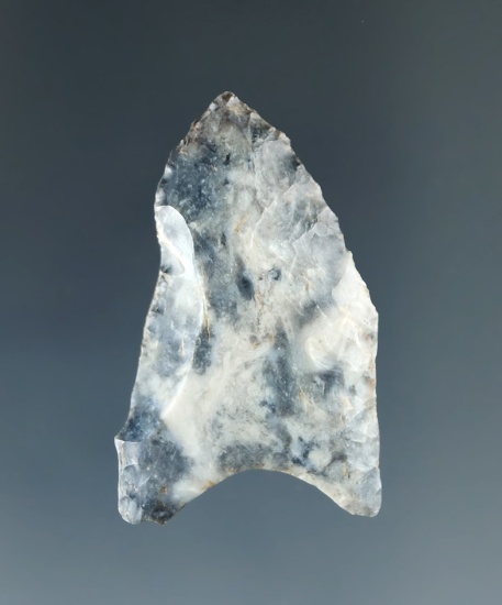 1 7/16" Coshocton Flint Paleo Fluted Clovis found in Licking Co., Ohio. Bennett COA.