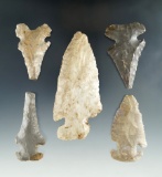 Set of 5 Archaic Thebes Knives in various conditions, found in Indiana, largest is 4