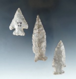Set of three arrowheads found in Kentucky, largest is 3 1/16